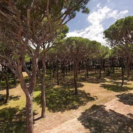 Terme Marine Leopoldo Ii Terme & Hotell